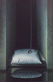 Zwei Kissen II, 1992, Acryl / Leinwand, 120 x 80 cm