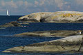 Möwe und Segelboot / Måke og seilbåt, Stangnes