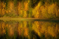 Høststemning ved / Herbststimmung bei Øyfjell