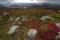 På fjellet ved / Auf dem Fjell am Gaustatoppen