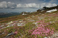 Ved / am Gaustatoppen (Juni)