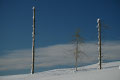 Luksefjell, Skien