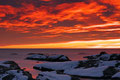 Sonnenaufgang am Skarholmen / Soloppgang ved Skarholmen, Portør