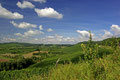 Landskap i / Landschaft im Zabergäu I