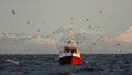 Fischerboot / Fiskebåt