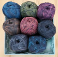 Pro Lana Golden Socks Mönch - 4-fach Sockenwolle in eleganten dunklen Tönen, 75% Schurwolle und 25% Polyamid, Lauflänge 420m/100g, Schonwaschgang bis 40°