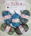 Ferner Wolle  Mally Socks Valentinstagsedition, wie 6-fach Sockengarn - 75% Schurwolle (Merino) und 25% Polyamid (recycelt), Lauflänge 450m/150g, Schonwaschgang bis 30°