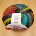 Woolly Hugs Paint Socks - 4-fach Sockenwolle, Fb. 203 regenbogen, herrlicher Farbverlauf mit dunklem anthrazit Kontrast, 2 gleiche Socken durch Kennzeichnung im Knäuel, 75% Schurwolle und 25% Polyamid, Lauflänge 420m/100g, Schonwaschgang bis 40°