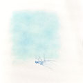 Illustration, Illustration in Pastell, Himmelblau, Ästhetik der Libellenflügel, Zarte Libellenflügel, Feine Illustration, Cecily Park