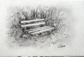Waldlandschaft