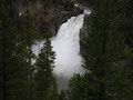 Yellowstone NP, upper falls