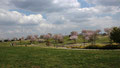 「ゆとりの森」大和市・ゆとりの森 /大 津：スポーツ施設で広い敷地に桜が満開でした。