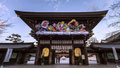 1-6「迎春ねぶた」寒川町･寒川神社 / 猪狩：2001年に入ってから寒川神社の神門にねぶたが飾られるようになりました。ライトアップもされ参拝者を楽しませてくれます。