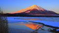 「紅富士」山中湖 / 坂口：１月末に安宿に宿泊し、朝早くから紅富士の撮影ができました。