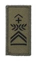 Hauptfeldweibel
