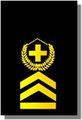 Hauptfeldweibel