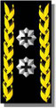 Divisionär