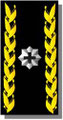 Brigadier