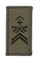 Feldweibel