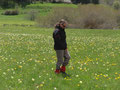 en mai 2013 au plateau de Sault (Pyrénées, Ariège, Aude)- une fleur parmi des fleurs!
