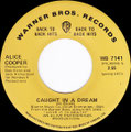 Eighteen / Caught in a dream - Canada - Back to Back Hits - 3rd - B
