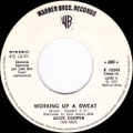 Teenage lament '74 / Working up a sweat - Italy - JBS - Promo - B