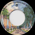 Teenage lament '74 / Working up a sweat - Holland - B