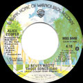 (No more) Love at your Convenience / I Never wrote those Songs (Edit) - USA - B