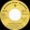 Eighteen / Caught in a dream - Canada - Back to Back Hits - 2nd - B