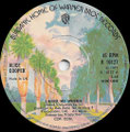 Under my wheels / Desperado - UK - Palm Trees - A