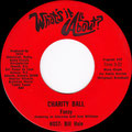 Charity Ball (Fanny)