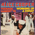 Teenage Lament '74 / Working up a sweat - Germany - Front