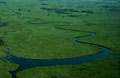 Okavango-Delta II