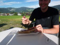 Swissarmynife kämpft mit Marmelade....