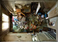 "the bedroom of the republic" • 2009 • 200x327cm (89x146cm) / 79x129" (35x57")
