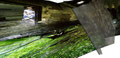 "was freud erzählte" ("that´s what Freud narrated") • 2004 • 190x400cm (69x146cm) / 79x157" (27x57")