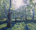 Glorious Morning in Gap Creek, Size: 36" x 30" (91cm x 76cm)