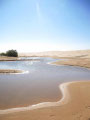 LAC HOUIDHAT – OASIS IN THE ENDLESS SEA OF DUNES OF THE GRAND ERG ORIENTAL