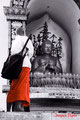 Contemplation of the Budda - Pokkhara - Népal