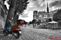 Red at the foot of Notre-Dame - Paris