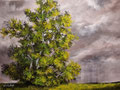 verde tempesta 80 x 60