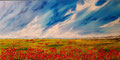 In un campo di papaveri ( 100 x 40 ) - acrilico su tela