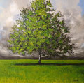 The green tree   80 x 80 - acrilico su tela