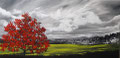 nostalgia (100 x 50) - acrilico su tela