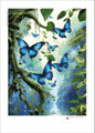 Enjoy a blue wonder