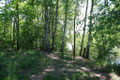 Waldweg bei Hönow