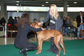 Int. Hundeausstellung St. Gallen 2010