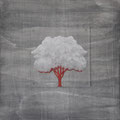 Albero, 50 x 50, tecnica mista su tavola, anno 2012