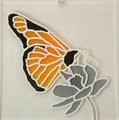 farfalla, 25 x 25 tecnica mista su plexiglas, 2011