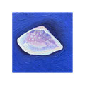 Mini schelp - 10x10cm - oilpaint on canvas - 2023 - Available